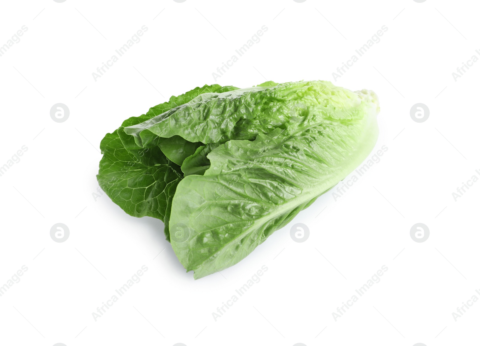 Photo of Fresh green romaine lettuce isolated on white