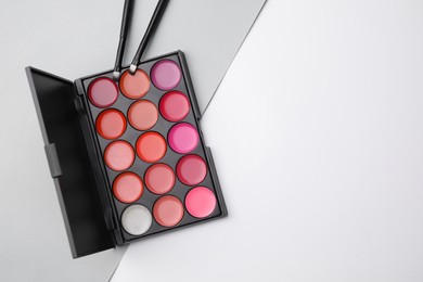 Photo of Cream lipstick palette and brushes on color background, flat lay with space for text. Professional cosmetic product