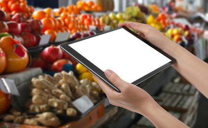 Image of Wholesale trading. Woman using WMS app on tablet at market, closeup 