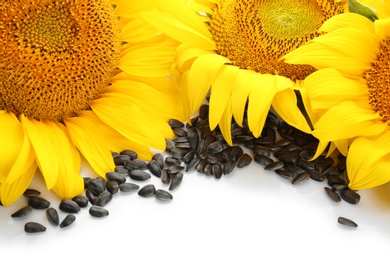 Photo of Sunflowers and seeds on white background, closeup