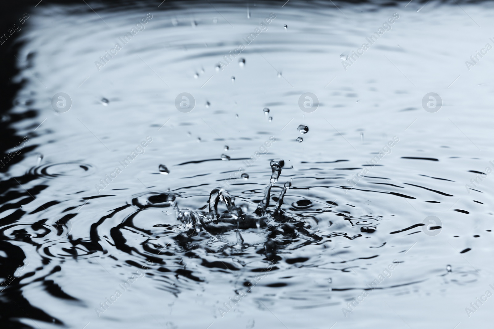 Photo of Rain drops falling down into puddle outdoors