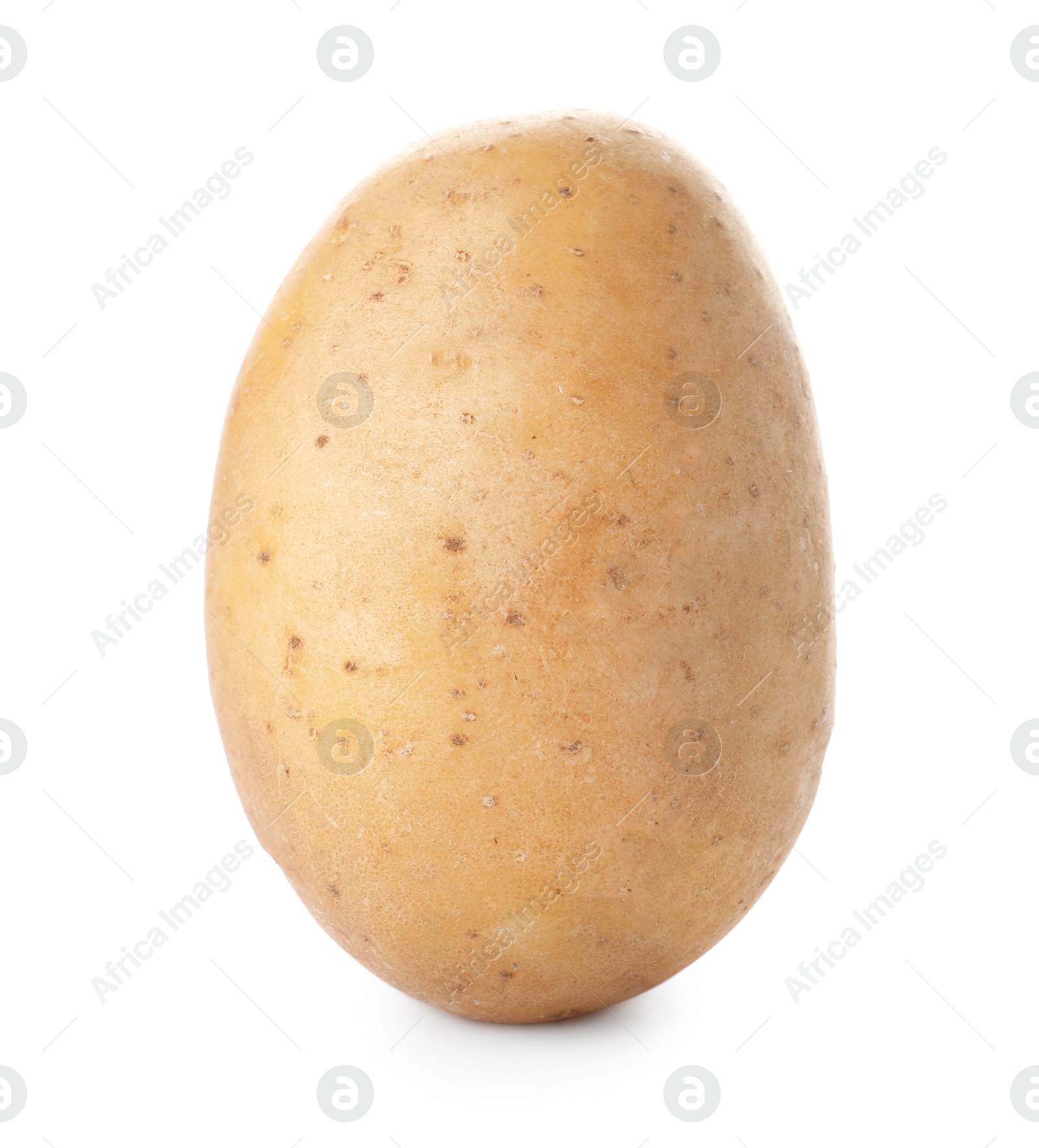 Photo of Fresh ripe organic potato on white background