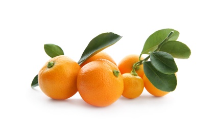 Photo of Branch of ripe tangerines isolated on white. Tasty citrus fruit