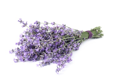 Photo of Beautiful tender lavender flowers on white background