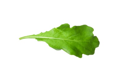 Photo of Leaf of fresh arugula isolated on white