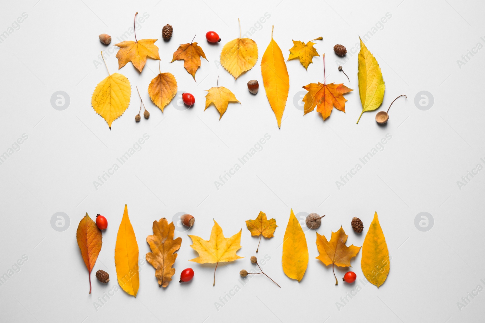 Photo of Flat lay composition with autumn leaves on white background. Space for text