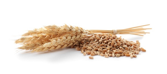 Photo of Wheat grains with spikelets on white background