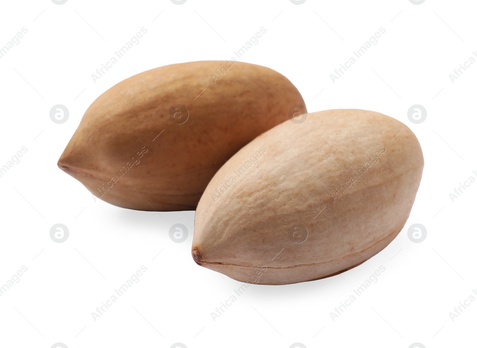 Photo of Tasty pecan nuts in shell isolated on white