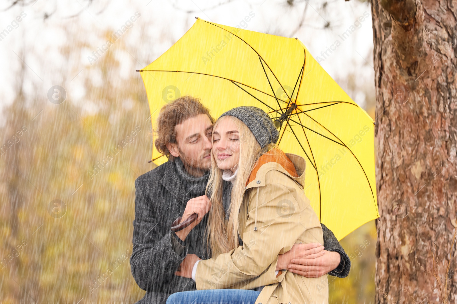 Photo of Young romantic couple with umbrella in park on autumn day