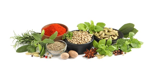 Photo of Different fresh herbs with aromatic spices on white background