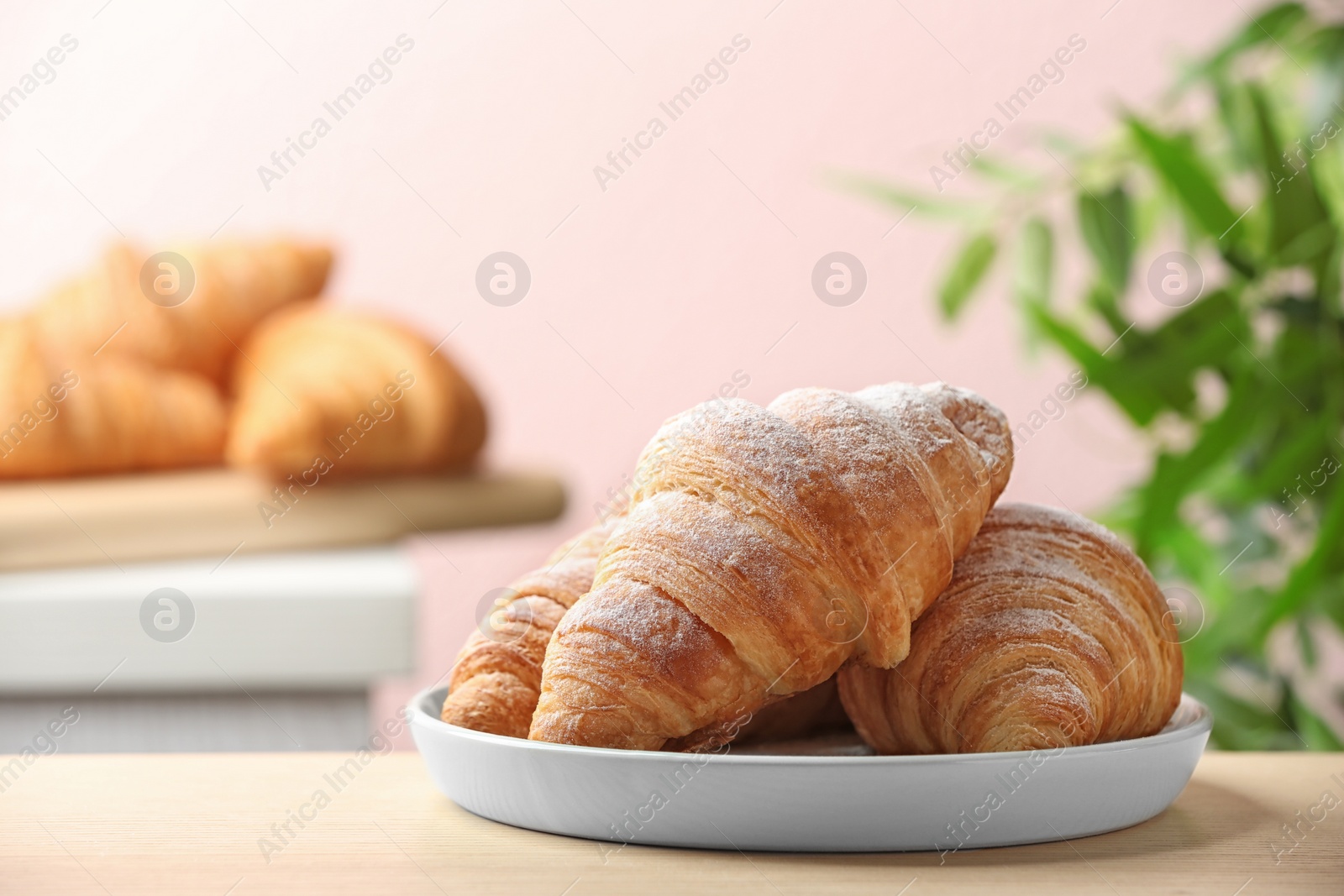 Photo of Plate of fresh croissants sprinkled with powdered sugar on table indoors, space for text. French pastry