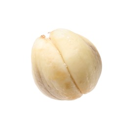 Photo of One fresh salak fruit isolated on white