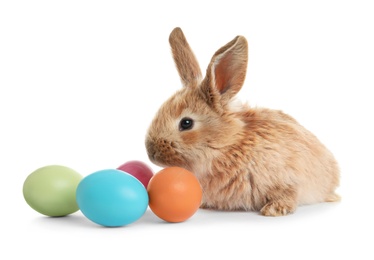 Photo of Adorable furry Easter bunny and colorful eggs on white background