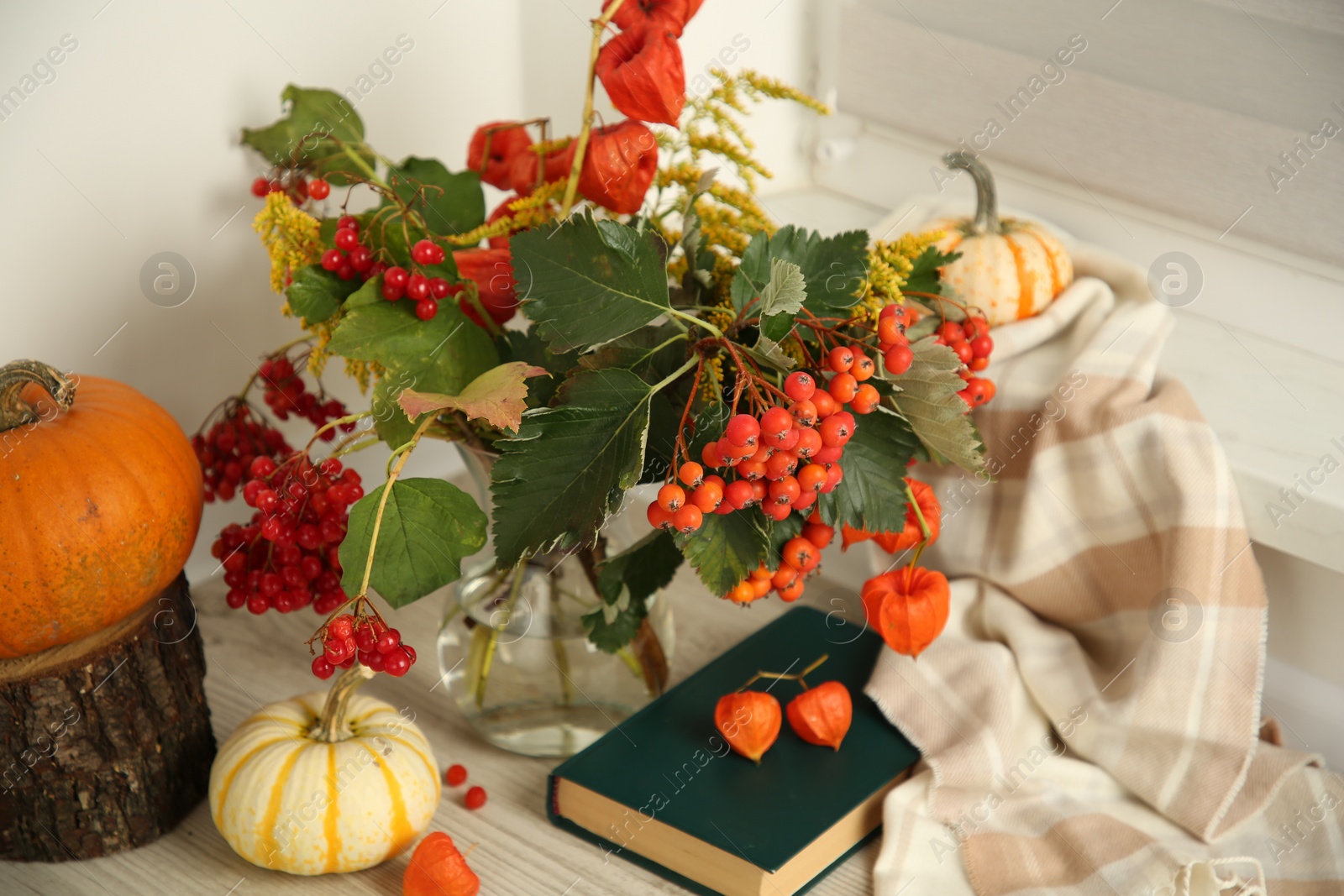 Photo of Beautiful autumn composition with different pumpkins and book indoors