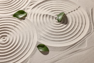 Photo of Beautiful spirals and leaves on sand. Zen garden