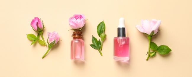 Photo of Fresh flowers and bottles of rose essential oil on color background, flat lay