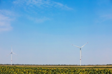 Modern wind turbine in sunflower field. Energy efficiency