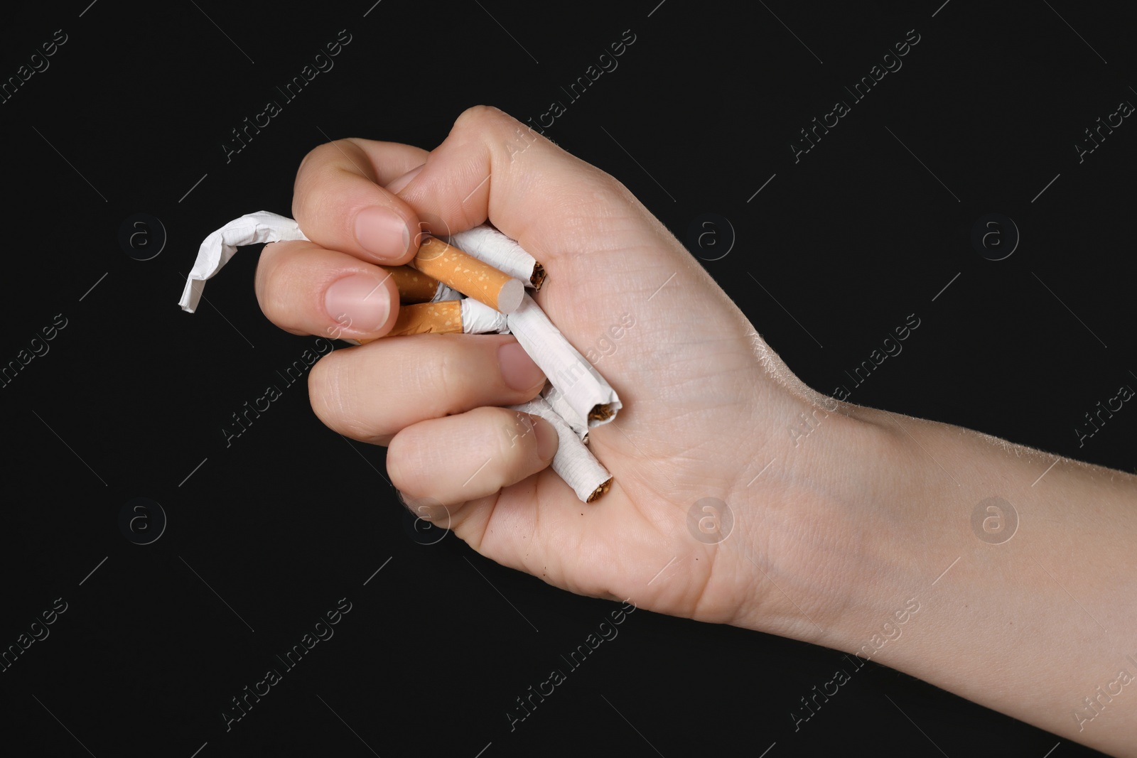 Photo of Stop smoking concept. Woman holding cigarettes on black background, closeup