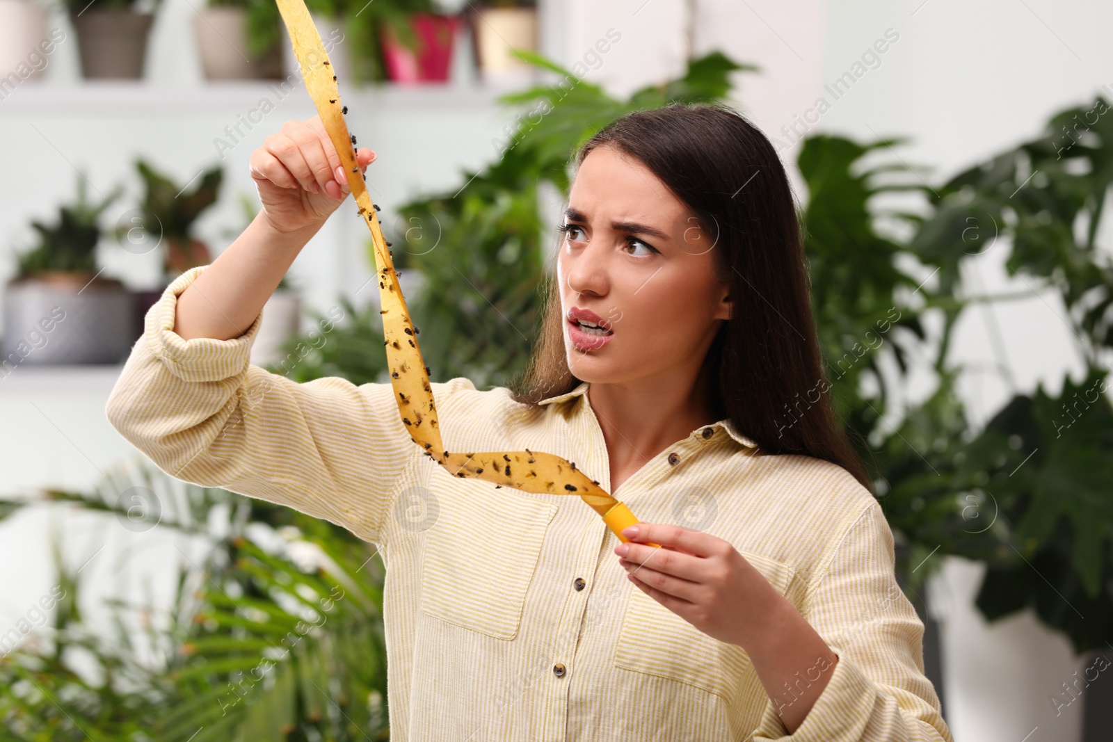 Photo of Emotional woman holding sticky insect tape with dead flies indoors