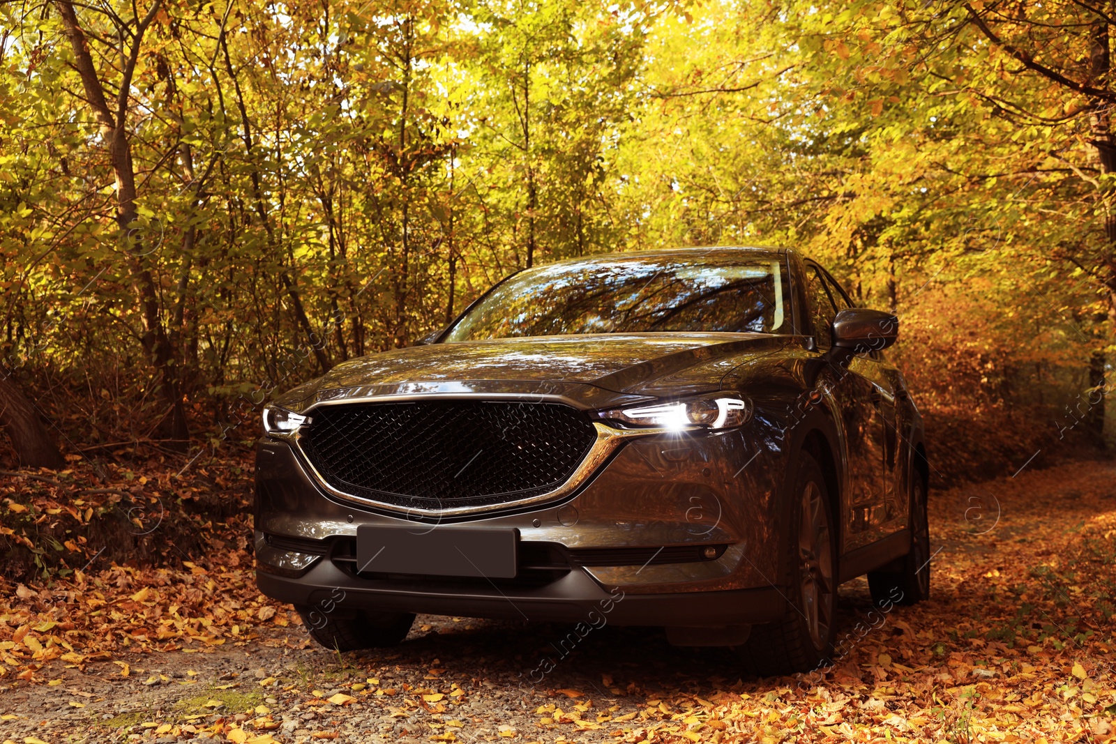 Photo of Black modern car parked in beautiful autumn forest