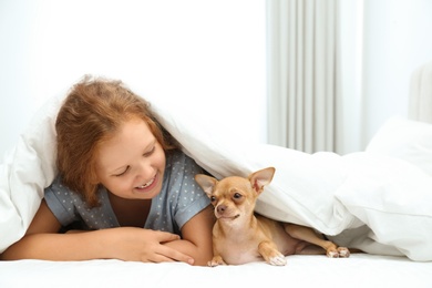 Photo of Little girl with her Chihuahua dog under blanket at home. Childhood pet