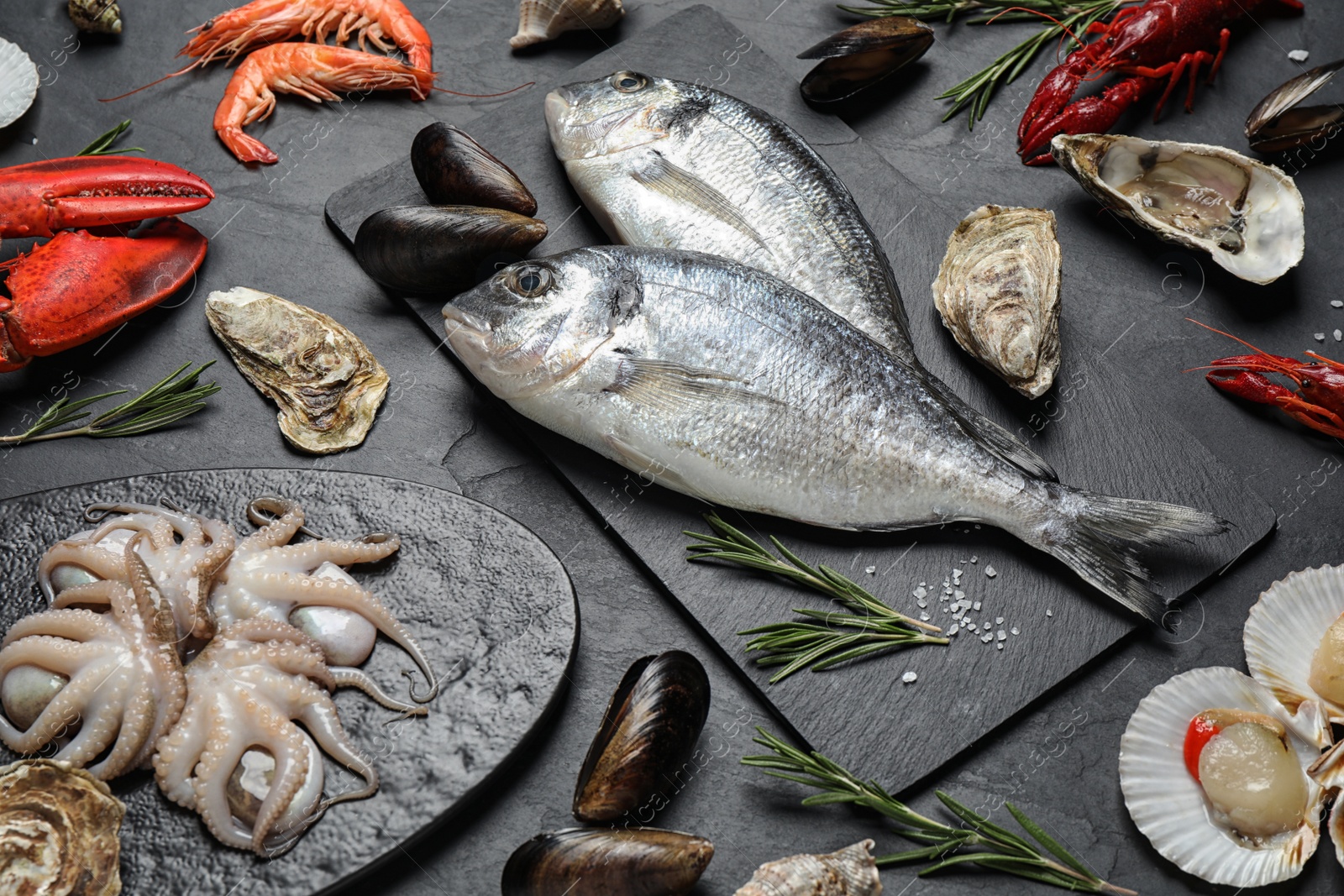 Photo of Fresh fish and different seafood on black table