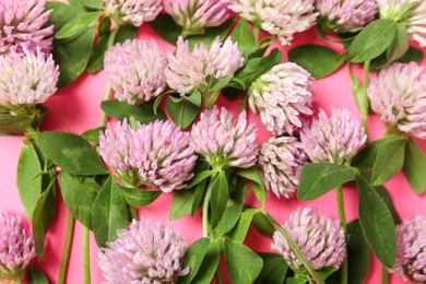 Beautiful clover flowers on pink background, flat lay