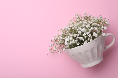 Photo of Beautiful gypsophila in white cup on pink background, top view. Space for text