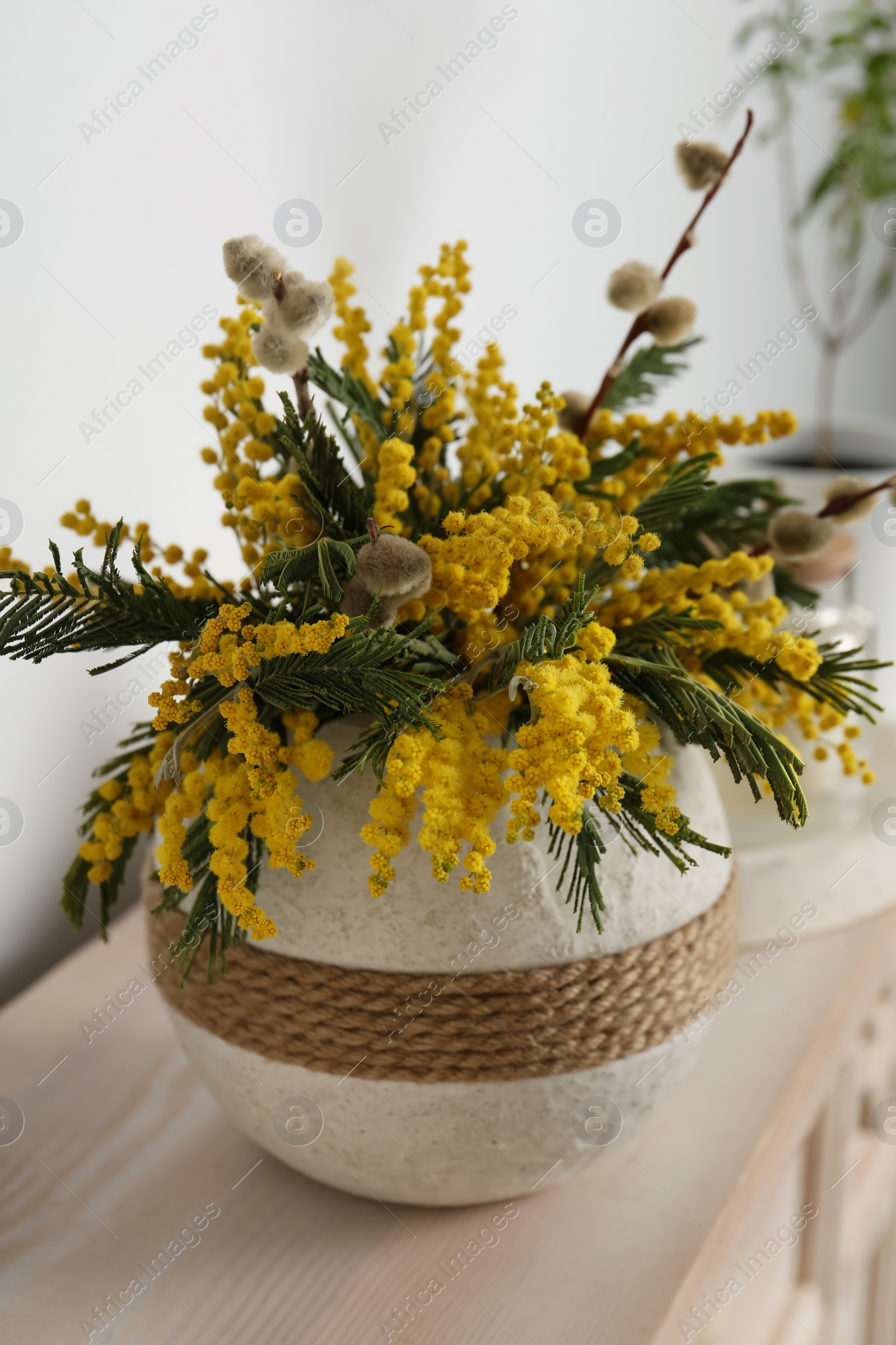 Photo of Beautiful mimosa flowers in vase on wooden table