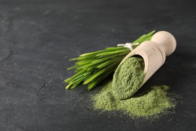 Photo of Wheat grass powder in scoop and fresh sprouts on grey textured table, closeup. Space for text