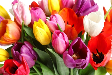 Photo of Beautiful bouquet of bright tulip flowers on light background, closeup