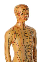 Photo of Acupuncture - alternative medicine. Human model with dots and lines isolated on white