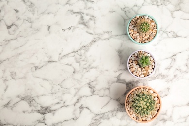 Photo of Beautiful cacti on marble background, top view