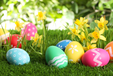 Colorful Easter eggs and daffodil flowers in green grass