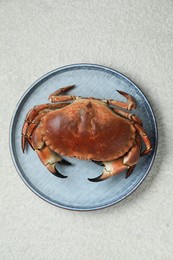 Photo of Delicious boiled crab on white textured table, top view