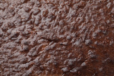 Closeup of delicious chocolate brownie as background, top view