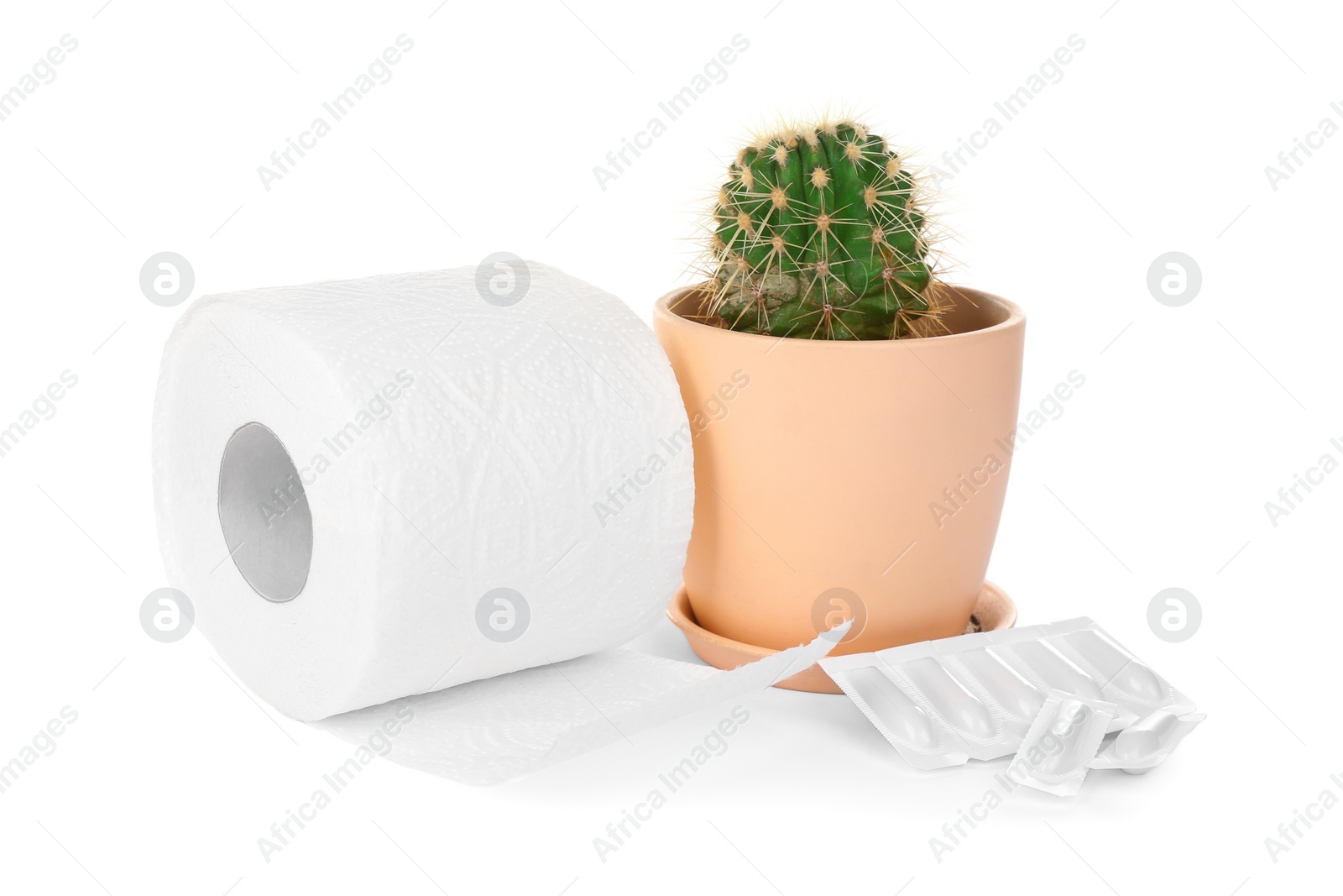 Photo of Roll of toilet paper, cactus and suppositories on white background. Hemorrhoid problems