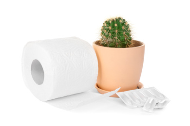 Photo of Roll of toilet paper, cactus and suppositories on white background. Hemorrhoid problems