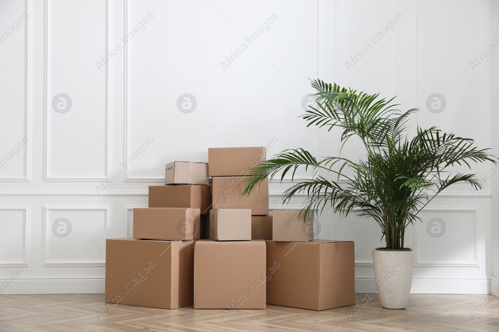 Photo of Heap of cardboard boxes and houseplant near white wall indoors. Moving day