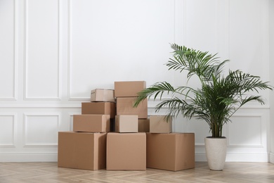 Photo of Heap of cardboard boxes and houseplant near white wall indoors. Moving day