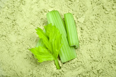 Fresh stalks on natural celery powder, above view