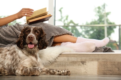 Photo of Adorable Russian Spaniel with owner on windowsill, closeup view. Space for text