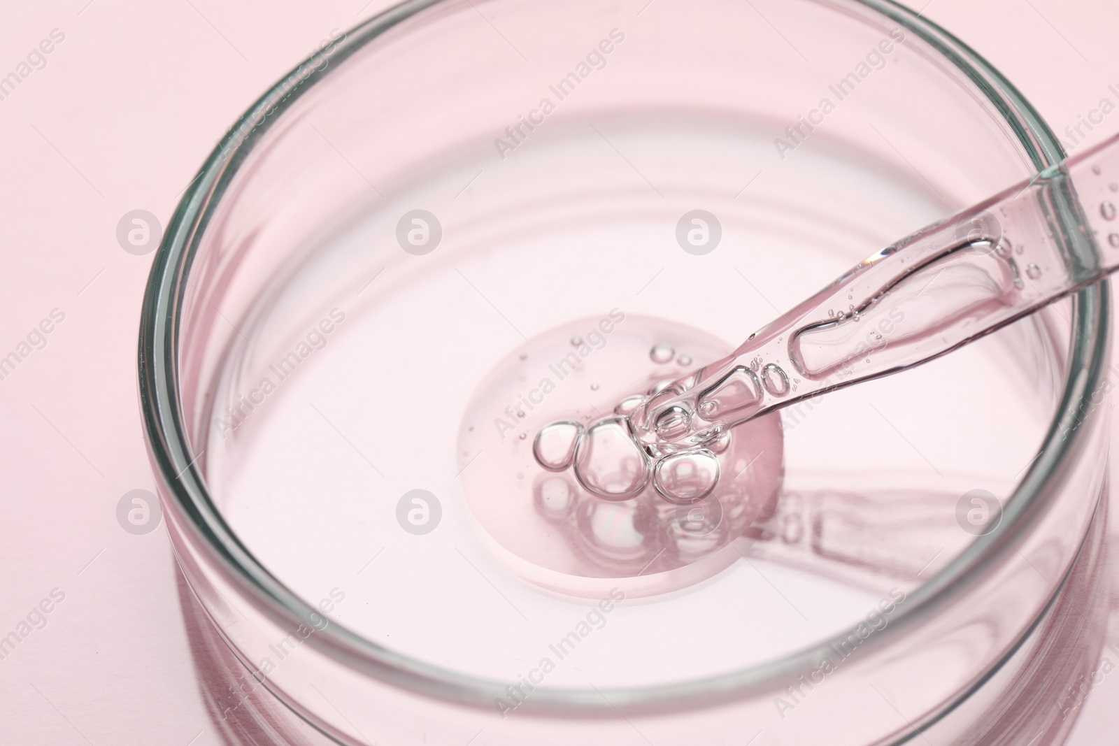 Photo of Glass pipette and petri dish with liquid on pink background, closeup