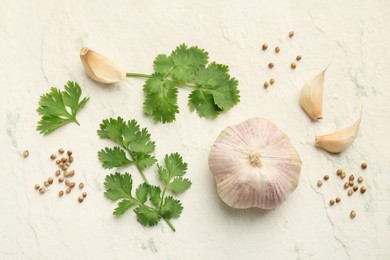 Fresh coriander leaves, dried seeds and garlic on light textured table, flat lay