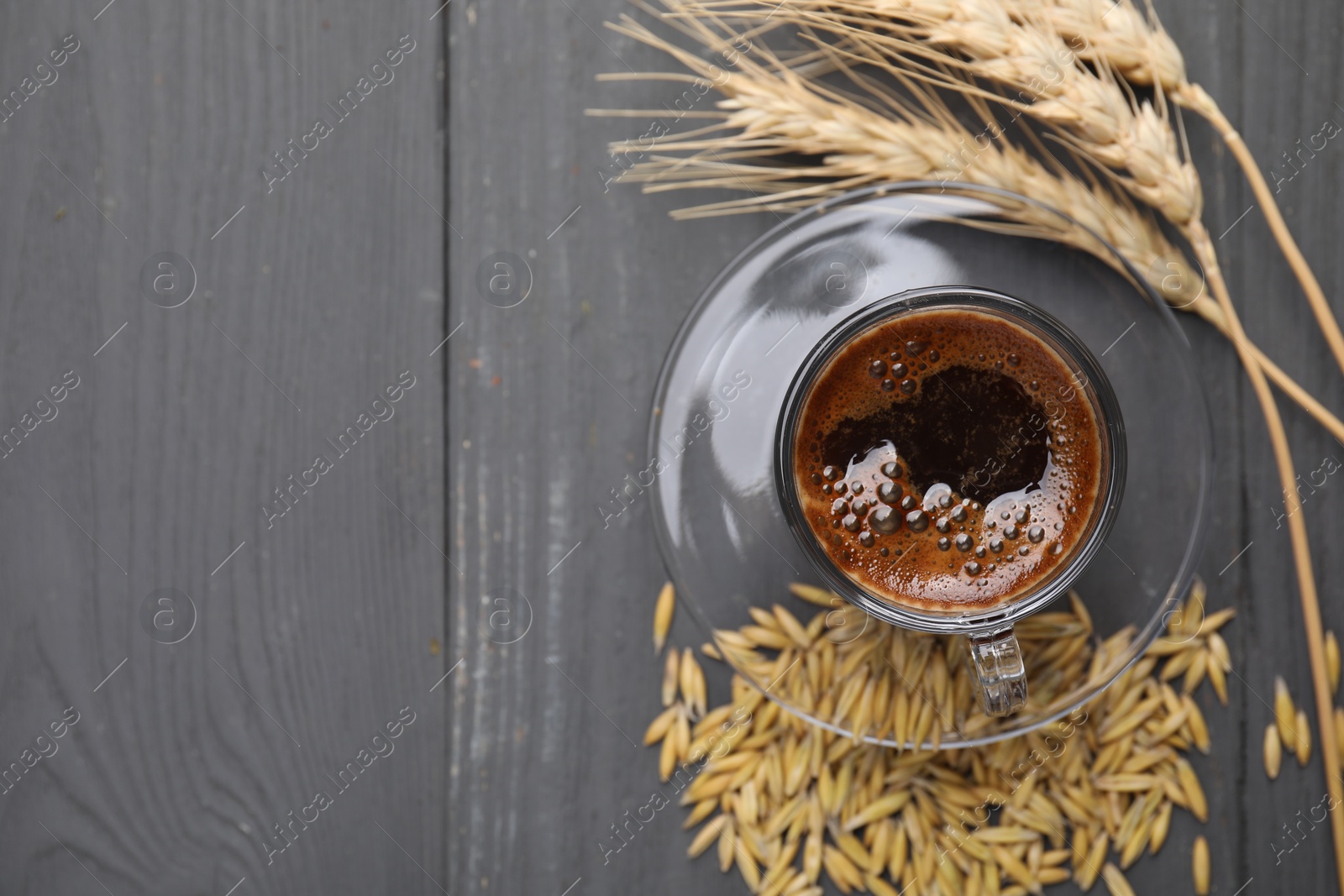 Photo of Cup of barley coffee, grains and spikes on gray wooden table, flat lay. Space for text