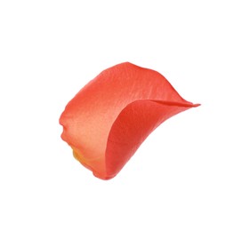 Beautiful pale red rose petal isolated on white