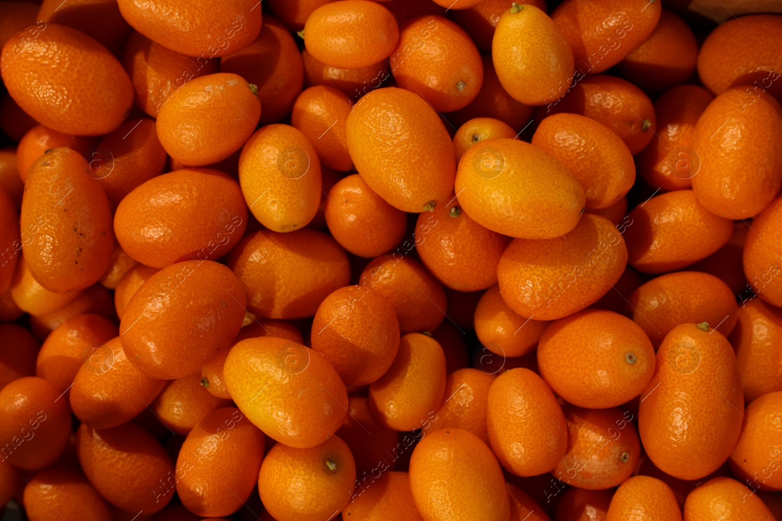 Photo of Many fresh kumquats as background, top view