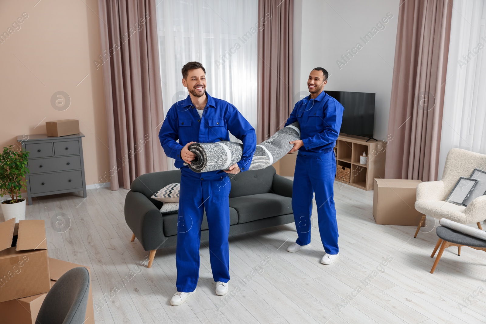 Photo of Male movers carrying carpet in new house