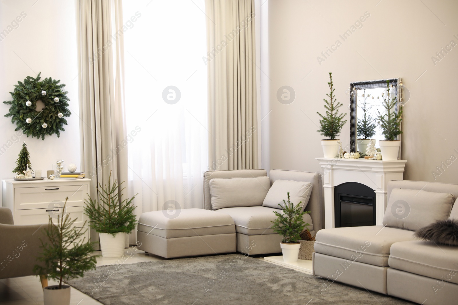 Photo of Stylish living room interior with little fir trees and Christmas decorations