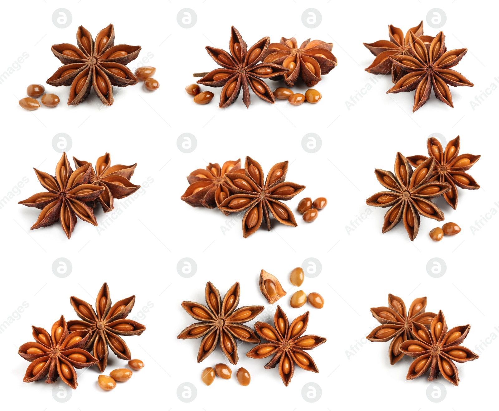 Image of Set with dry anise anise stars on white background